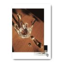 콩이야기 이미지