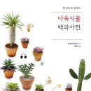 주월1동 행정복지센터 네이버블로그