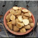 보리수 산장 이미지