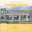 가양동물의료센터 네이버블로그