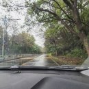 삼귀 | 창원 드라이브 코스 추천 바닷가를 따라 이어진 삼귀해안도로