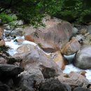 그집식당 이미지