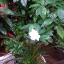 정문힐스테이트공인중개사사무소 이미지