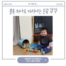 피키래빗 | 블루래빗 피카소원목블록 블루래빗아이큐베이비 돌아기 추천