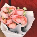 경북만노.KB | 음악 편집 프로그램 골드웨이브 무료 다운로드 사용법