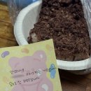 윤희공방 | 수 많은 별들이 한 없이 쏟아지던 2025 가을밤