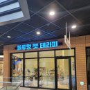 블루멍 펫 테라피 이미지