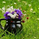 가평행정사 이미지