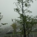 조일주유소 이미지