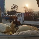 진안군 농업기술센터 이미지