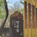 홍릉 | 평일 <홍릉숲> 개방!!(홍릉수목원/국립산림과학원/주차/이용시간/사진콘테스트)