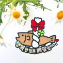 추천 방글방글작업실 명태 액막이토퍼 행복한 일은 매일 있어 집들이소품 & 개업식선물 완전 만족 솔직후기