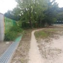 봉림중학교 이미지