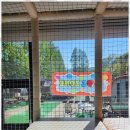 유쓰펜션 이미지