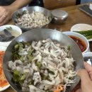 경주 용산회식당 주말 9시 웨이팅 후기 :: 3시간 걸린다는 회덮밥 맛집? 솔직 후기!