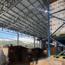 만물마트 | [광주] 도매콜_경기광주 만물 창고형 대형 할인매장 주차 및 구매후기