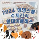 댕댕스쿨 이미지