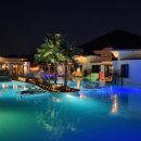 드레피인 이미지