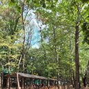 용허리근린공원 이미지