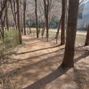 강남다가치번역행정사사무소 | 선릉역 5번 출구(역삼역 7번 출구), 투썸플레이스 선릉로점 6층으로 사무실 이전했습니다