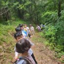 안성자연유치원 이미지