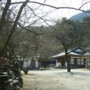 태평사 Daum카페