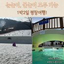 평창 1박 2일 여행코스, 오리엔트 리조트 온돌방 후기, 주변 맛집