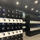 조지아휘트니스 이미지