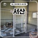 H1800 | 서산휀스 펜스 - 사무실 한쪽에 강아지 천국 만들기 성공! 서산휀스 리얼후기🐾