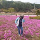 용담가족테마공원2 이미지