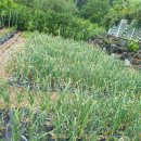 김앤권병원 이미지