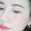 디어포포 (Dear Paw Paw) | 디어달리아 듀얼 팔레트 로맨틱 브리즈 컬렉션 포비든피그 로맨틱메이크업 완성
