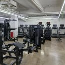 존피트니스 이미지