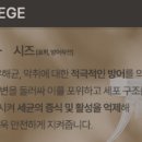 라시오그