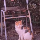 본량동서로 이미지