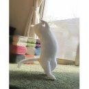 냥이의꿈 이미지