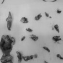 문정탑 동물병원 이미지