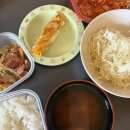 엔지오텍(주)지점 | [ 도쿄 일상 ] D+220~227 입 터짐의 날