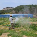 푸른농약사 이미지