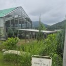동일농장 | 용인 아이랑 실내가볼만한곳 포레스트벨 체험농장｜동물체험과 후기