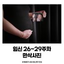 (주)연안자동차 | 임신 26주~29주 교통사고 치료 만삭사진 촬영 드디어 후기 진입