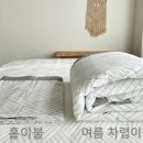 아이스달 이미지