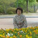 숲쟁이꽃동산 이미지