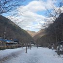 환선마을 | 겨울여행 - 자연이 만든 거대한 지하 예술 <삼척 환선굴> 관람 가이드 (입장료·모노레일·관람 코스 정리)