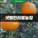 샛별농장 이미지