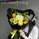 피오니페페