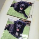 승화농장 이미지