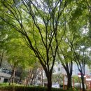 전주감자탕 이미지