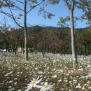 칠갑산오토캠핑장 네이버블로그
