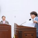스피어프로젝트